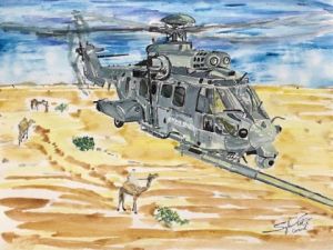 Voir le détail de cette oeuvre: CARACAL