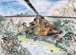 Voir le détail de cette oeuvre: TIGRE